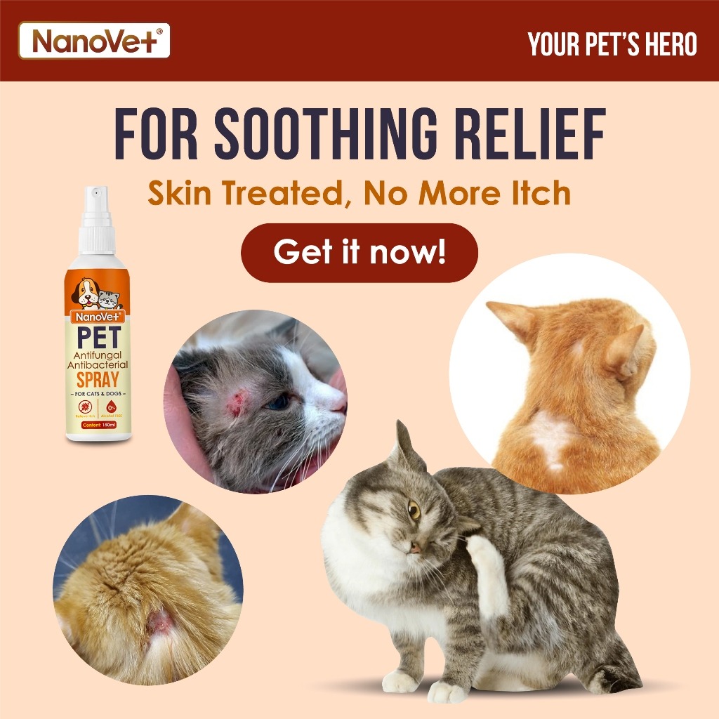NANOVET ANTIFUNGAL & ANTIBACTERIAL SPRAY 100ML image 6