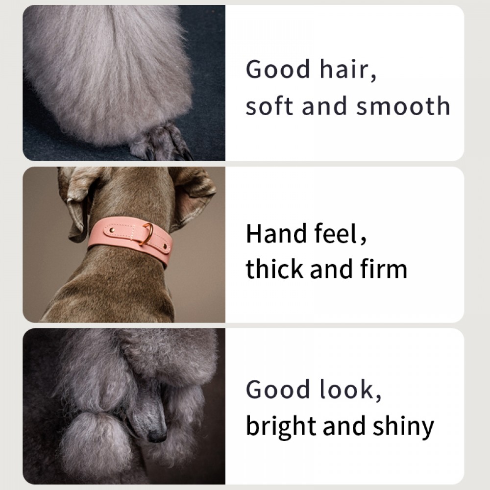 PUAINTA LECITHIN FOR DOGS 300G image 3
