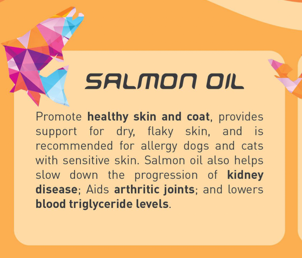 CHUNKBITS DOG 250ML SALMON OIL image 2