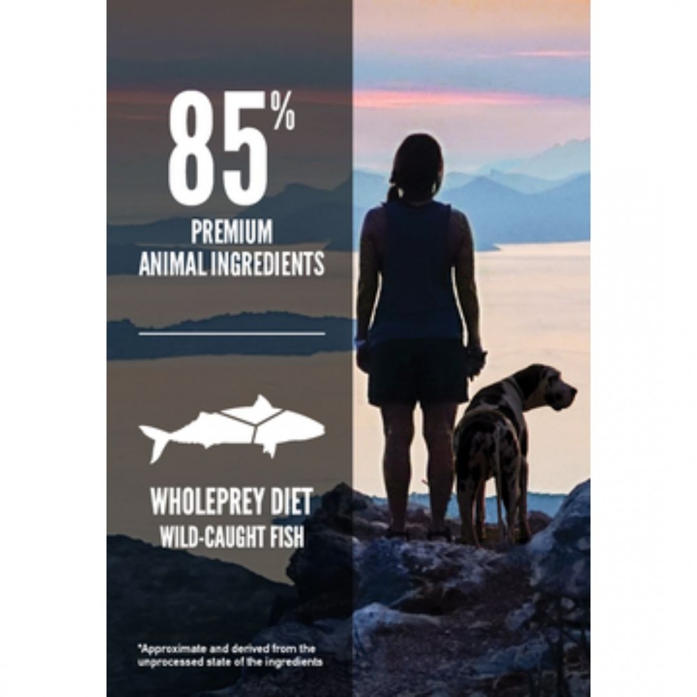 ORIJEN DOG 340G SIX FISH DRY DOG FOOD image 4