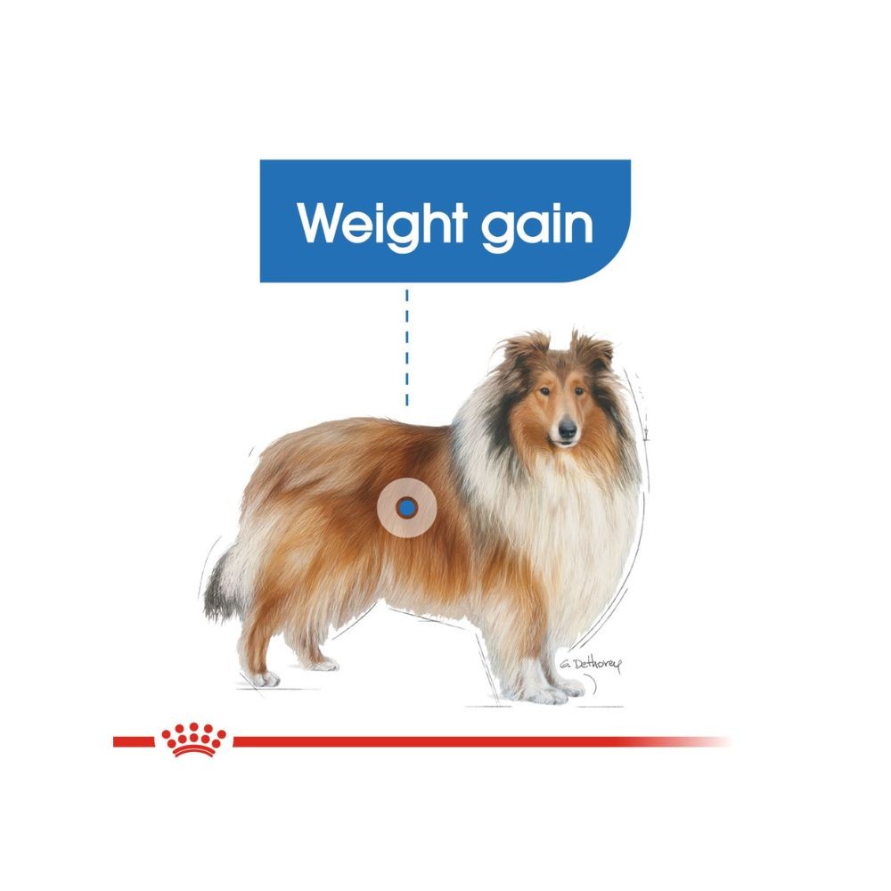 ROYAL CANIN MAXI LIGHT WEIGHT CARE 12KG DRY DOG FOOD image 5