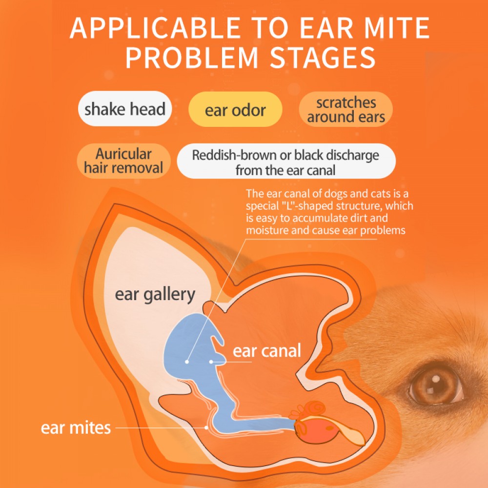 PUAINTA PET EAR CARE SOLUTION 120ML image 2