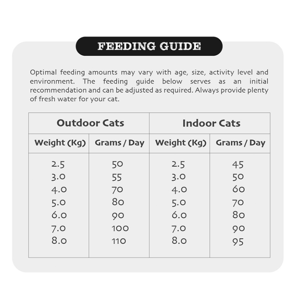 PRIMECUT 6KG CHICKEN & TURKEY RECIPE DRY CAT FOOD image 2