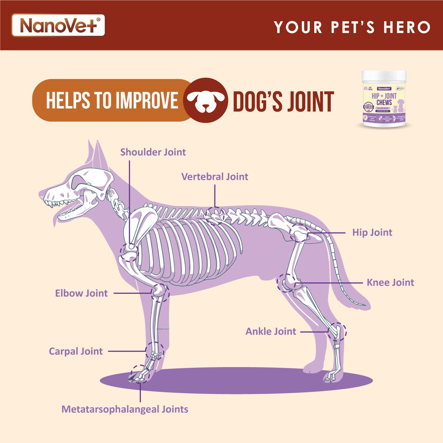 NANOVET HIP + JOINT CHEWS 120PCS image 5