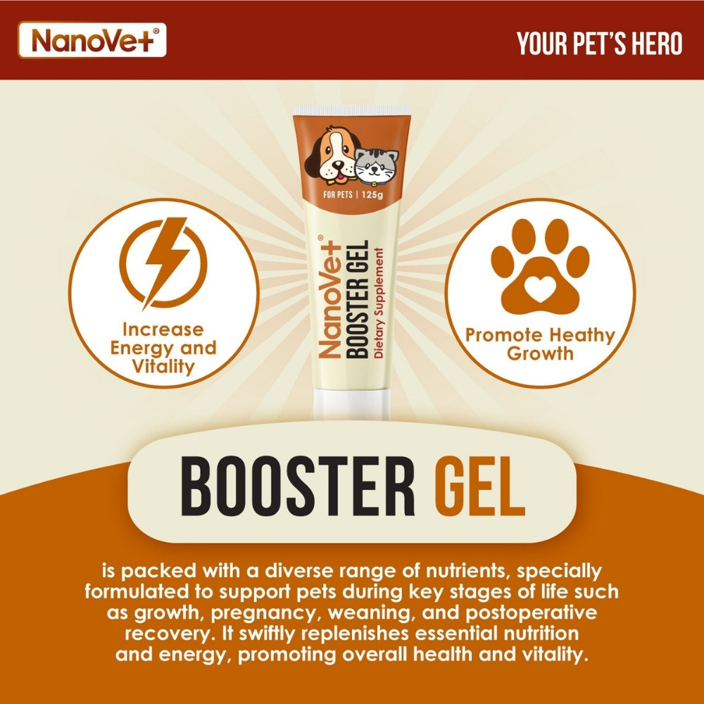NANOVET BOOSTER GEL FOR PETS 125G image 4