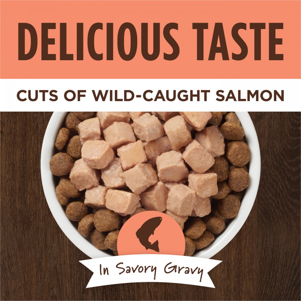 INSTINCT DOG HEALTHY CRAVINGS 85G (3OZ) REAL SALMON RECIPE WET DOG POUCH image 4