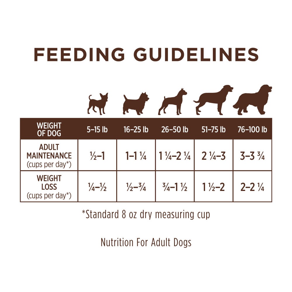 INSTINCT DOG LID 9KG (20LB) GRAIN FREE RECIPE WITH REAL SALMON DRY DOG FOOD image 10