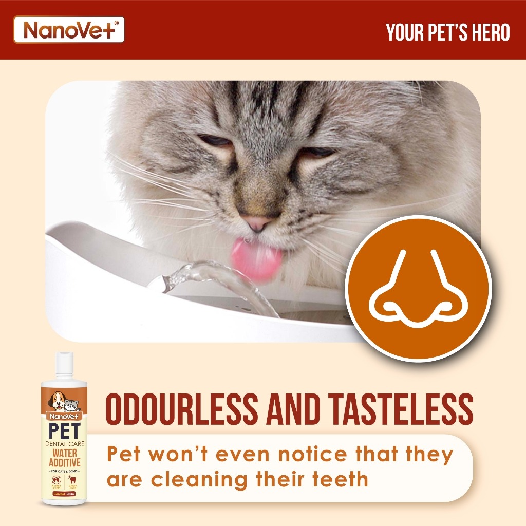 NANOVET DENTAL WATER ADDITIVE 500ML image 3