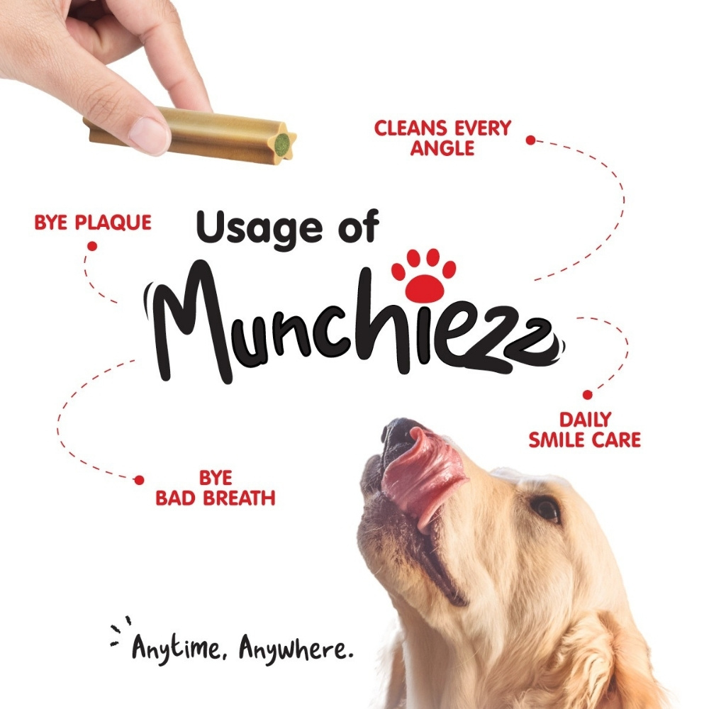 PROBALANCE MUNCHIEZZ 100G DENTAL STICK MINT DOG SNACK image 3
