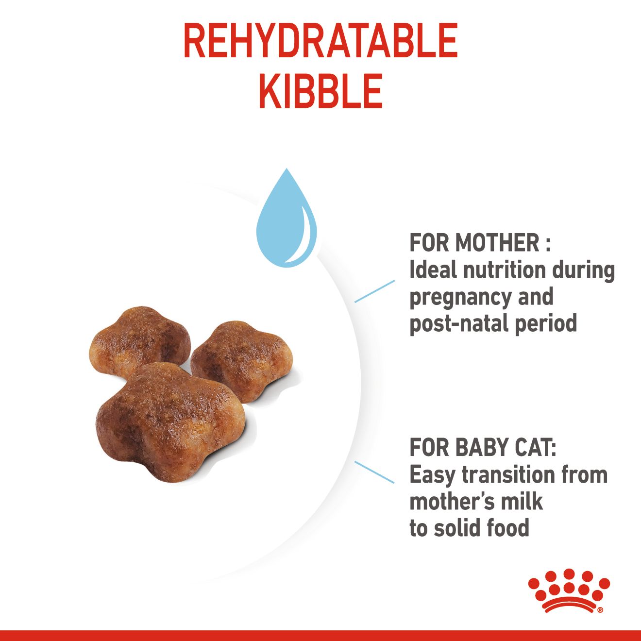 ROYAL CANIN MOTHER & BABYCAT 4KG DRY CAT FOOD image 5