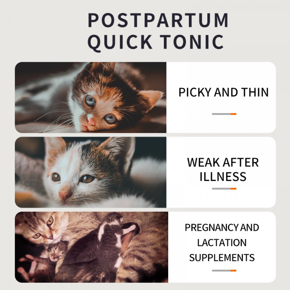 PUAINTA NUTRITION GEL FOR CATS 120G image 6