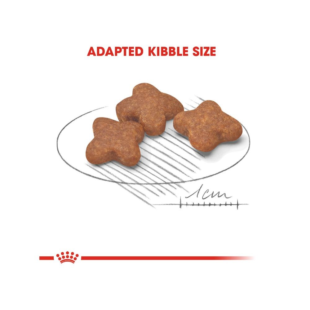 ROYAL CANIN MINI MATURE 8+ 2KG DRY DOG FOOD image 4