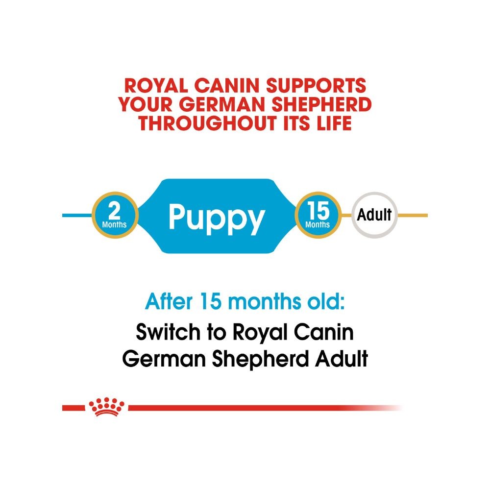 ROYAL CANIN GERMAN SHEPHERD JUNIOR 12KG DRY DOG FOOD image 8