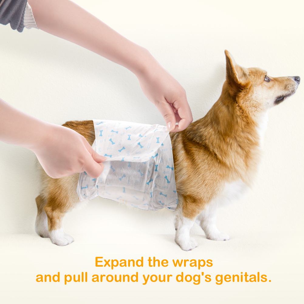 DONO DISPOSABLE PET DIAPER WITH URINE TRACK MALE L 8PCS image 5
