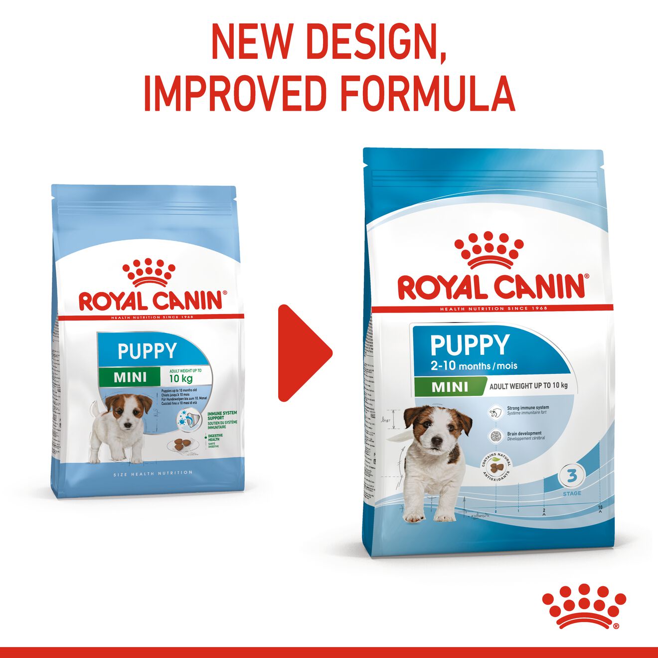 ROYAL CANIN MINI PUPPY 8KG DRY DOG FOOD image 7