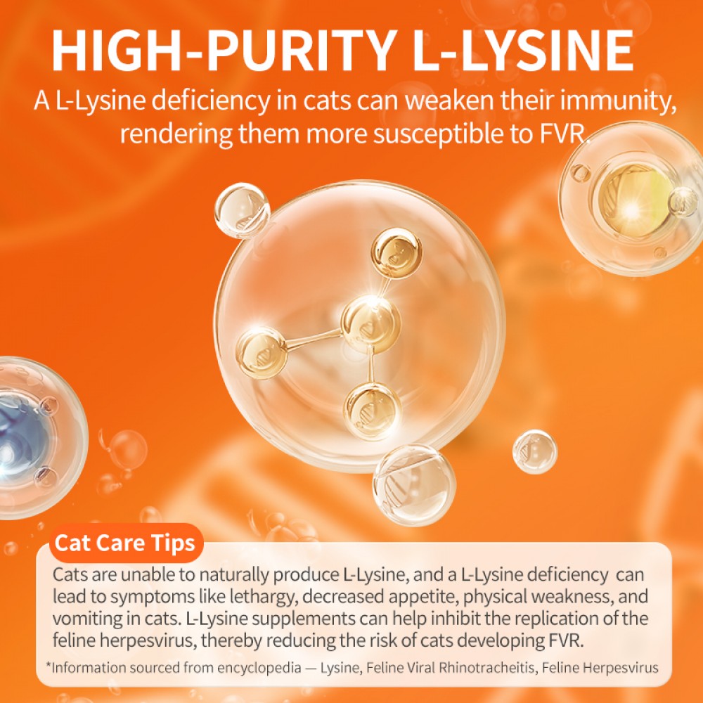 PUAINTA L-LYSINE TABLET 0.5GX200TABLETS image 5