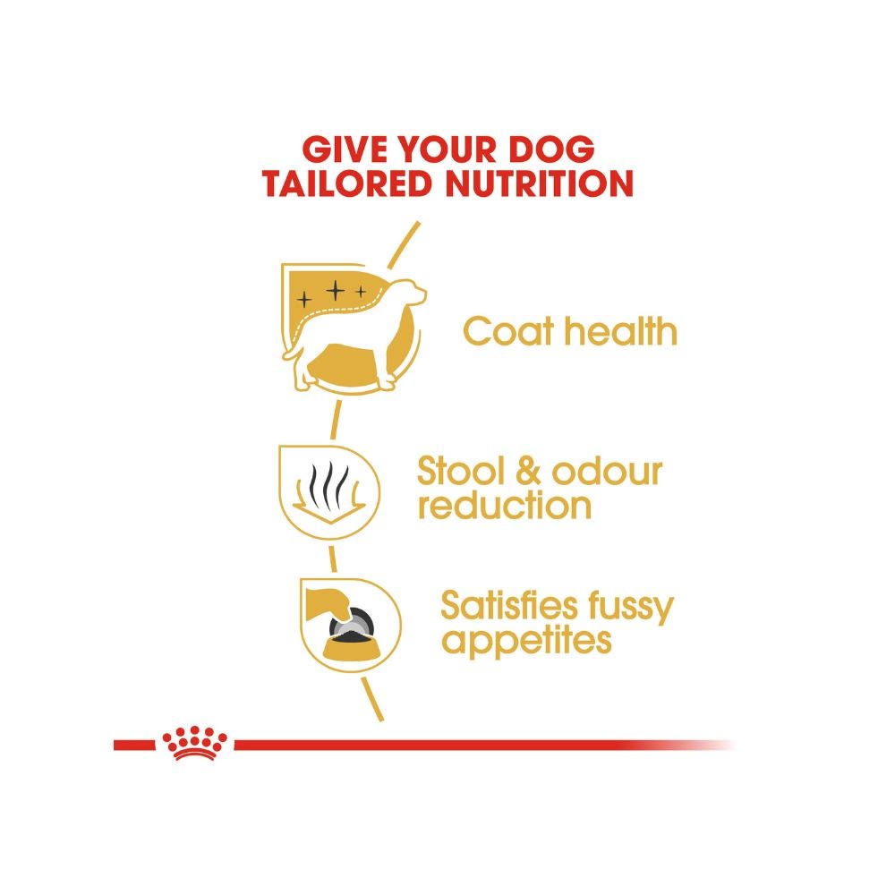 ROYAL CANIN MALTESE ADULT 1.5KG DRY DOG FOOD image 3