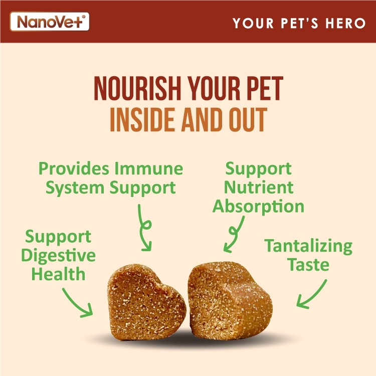 NANOVET PROBIOTIC CHEWS 45PCS image 5