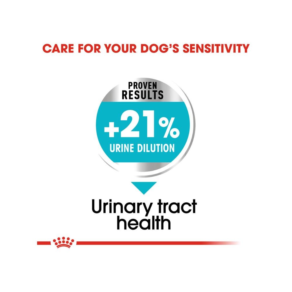 ROYAL CANIN MINI URINARY CARE 3KG DRY DOG FOOD image 4