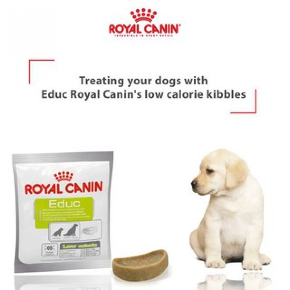 ROYAL CANIN EDUC NUTRITIONAL SUPPLEMENT 50G image 3