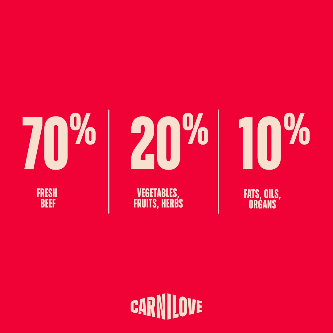 CARNILOVE CAT 6KG TRUE FRESH BEEF ADULT LARGE BREED DRY CAT FOOD image 5