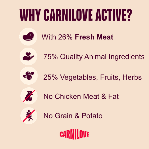 CARNILOVE DOG 12KG SALMON & TURKEY ADULT SMALL BREED DRY DOG FOOD image 8