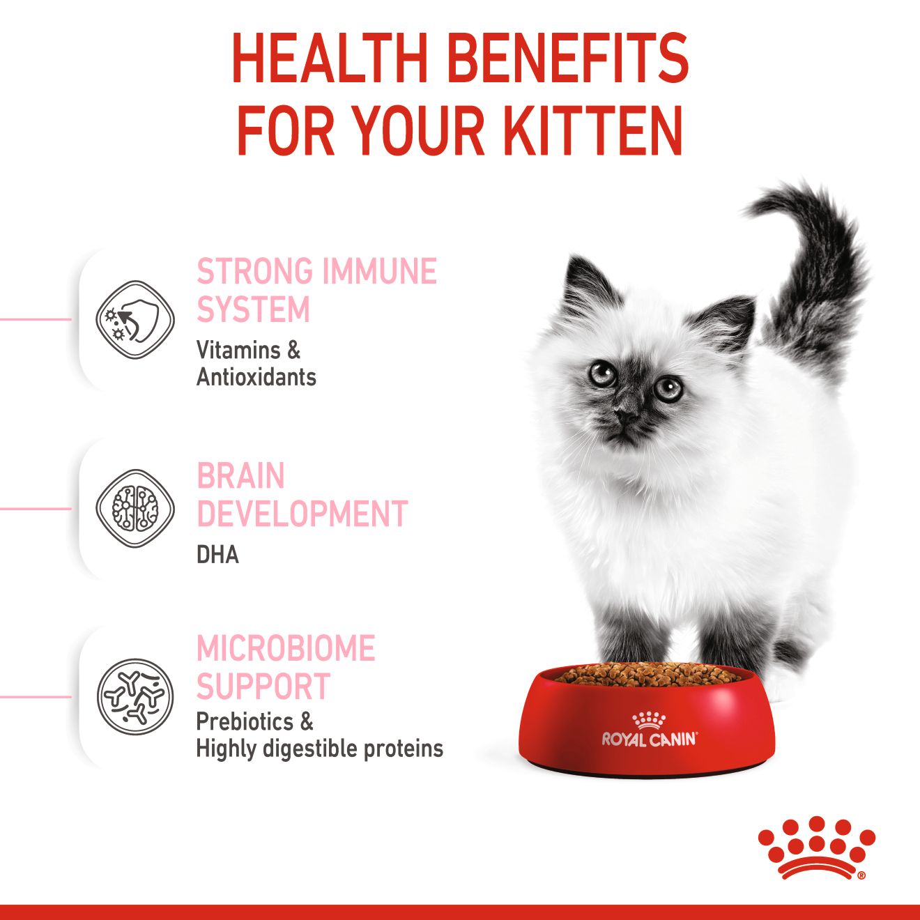 ROYAL CANIN KITTEN 36 0.4KG DRY CAT FOOD image 4