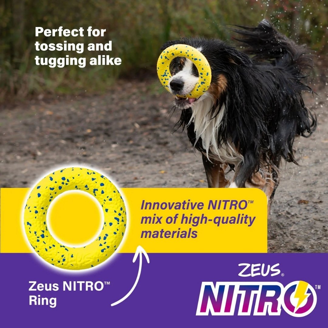 ZEUS DOG NITRO WEIGHTED RING 16CM image 3