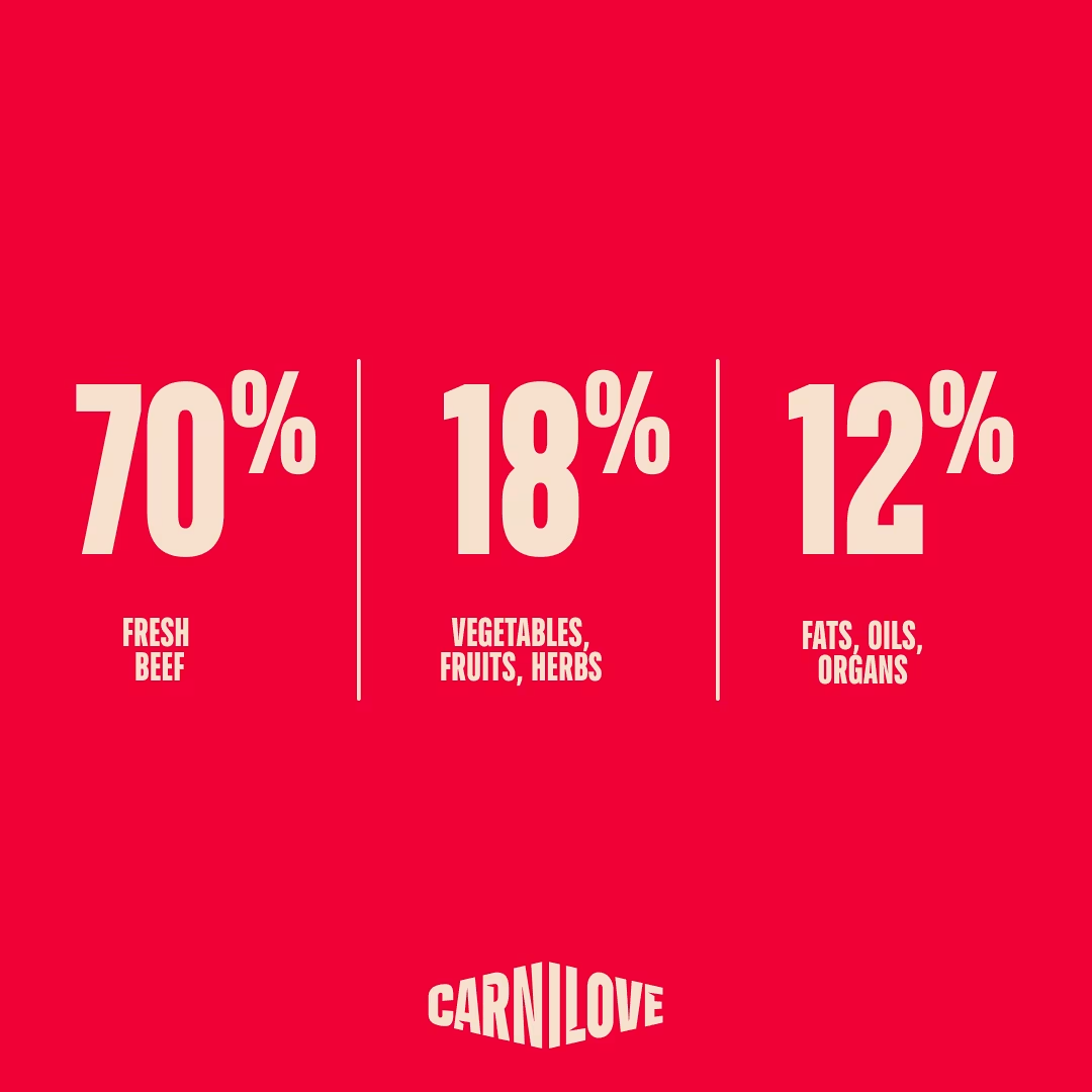 CARNILOVE CAT 400G TRUE FRESH BEEF FOR KITTEN DRY CAT FOOD image 6