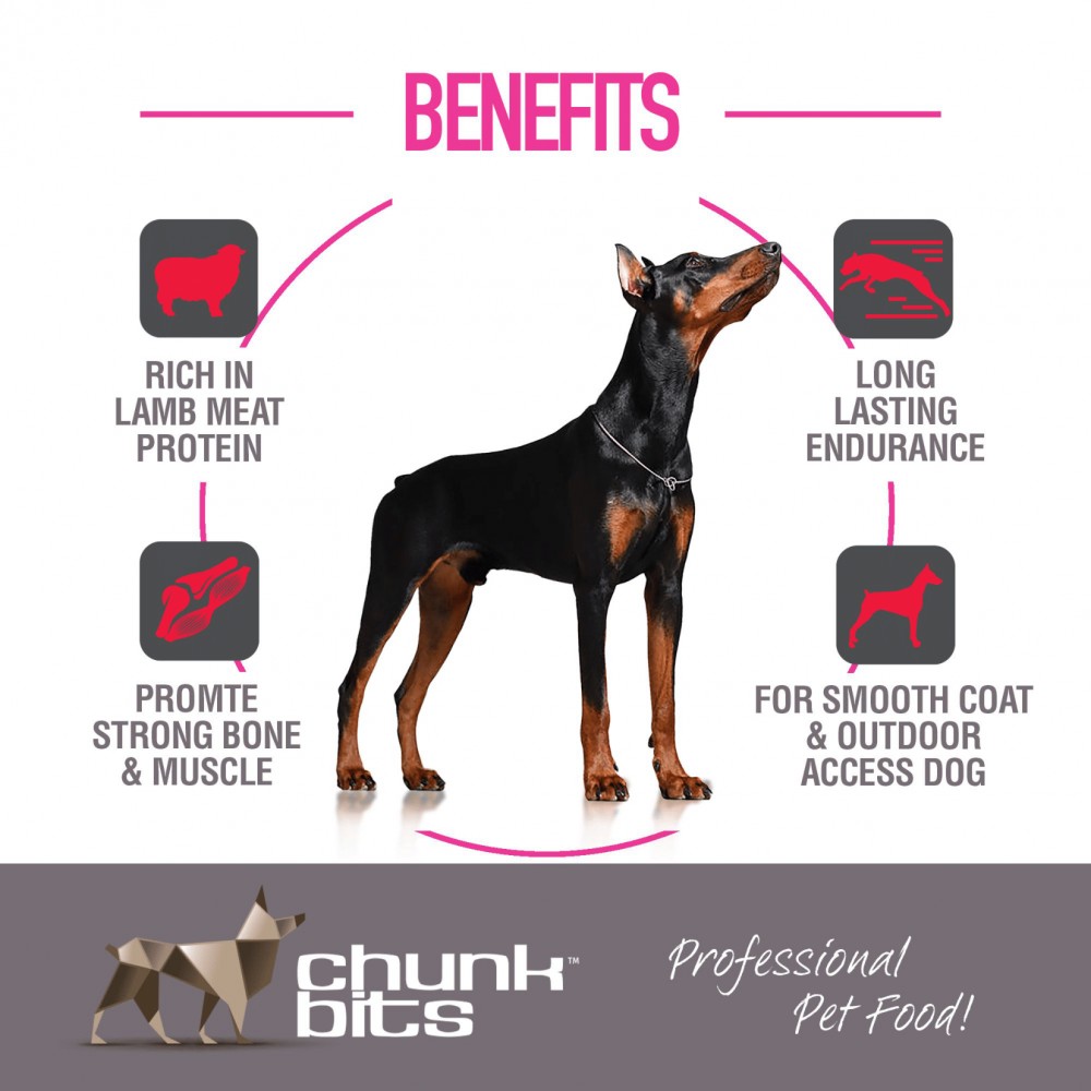 CHUNKBITS DOG 13KG ESSENTIAL 25 LAMB & RICE DRY DOG FOOD image 3