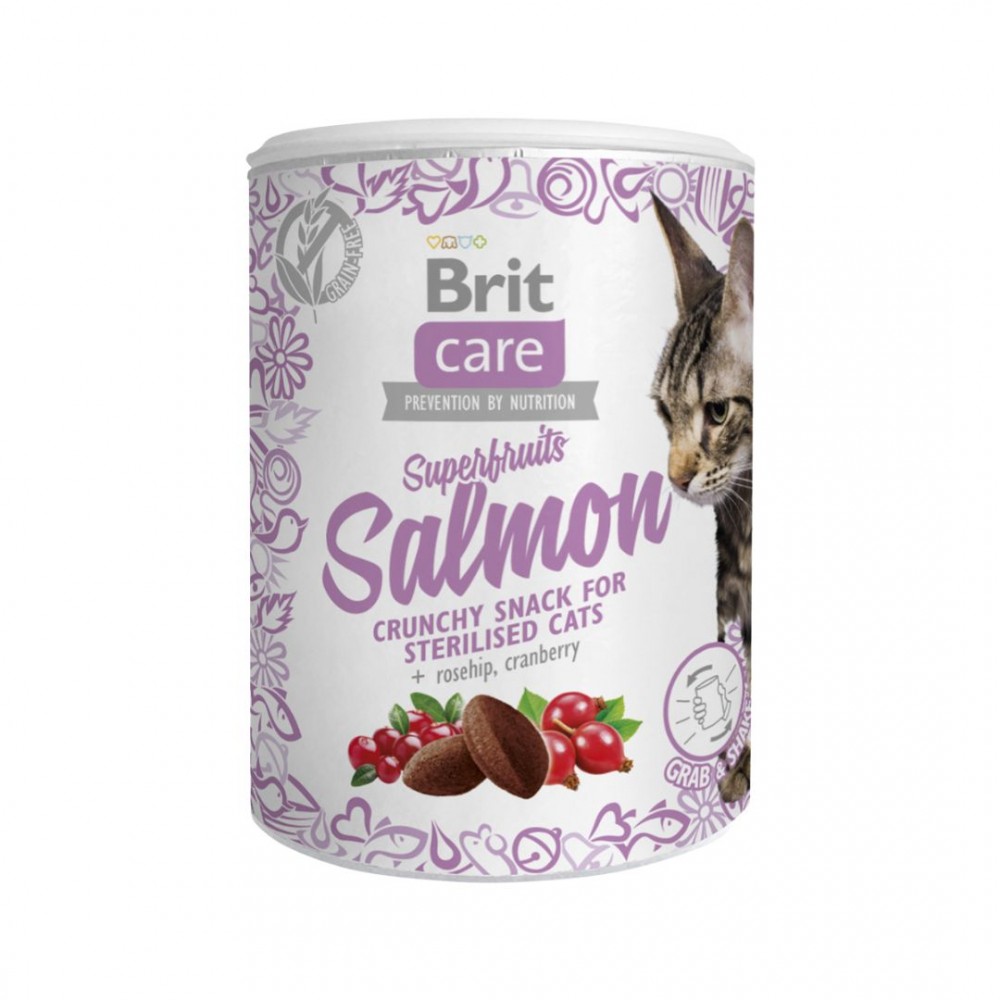 BRIT CARE CAT 100G SUPERFRUITS SNACK SALMON image 2