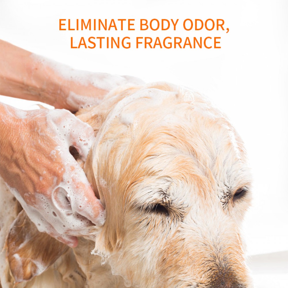 PUAINTA BANOV SHAMPOO 250ML image 6