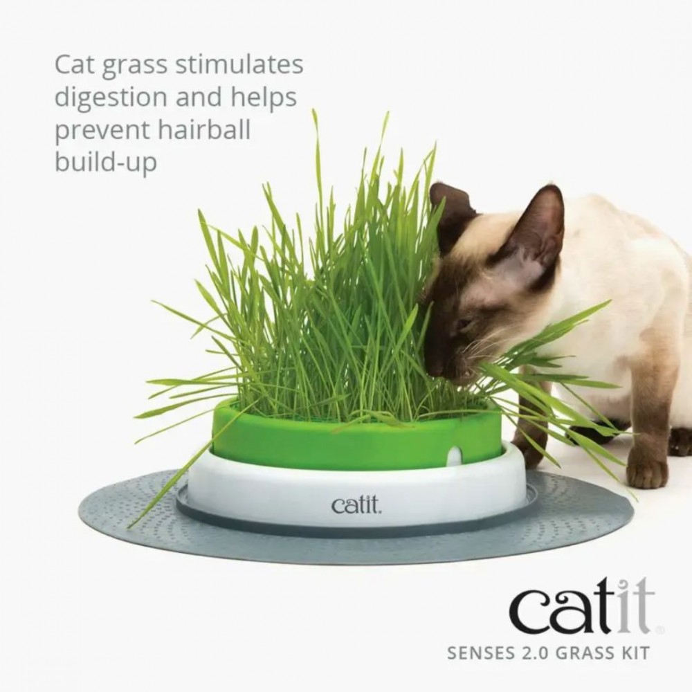 CATIT 2.0 CAT GRASS KIT 3 SETS image 2