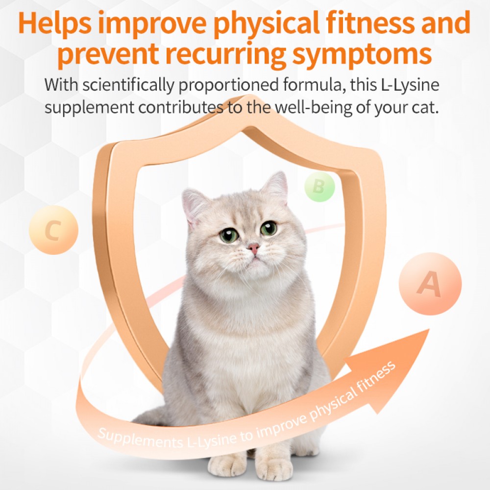 PUAINTA L-LYSINE TABLET 0.5GX200TABLETS image 3