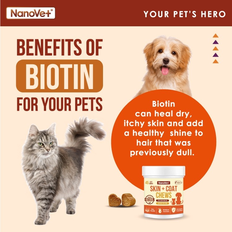 NANOVET SKIN + COAT CHEWS 120PCS image 7