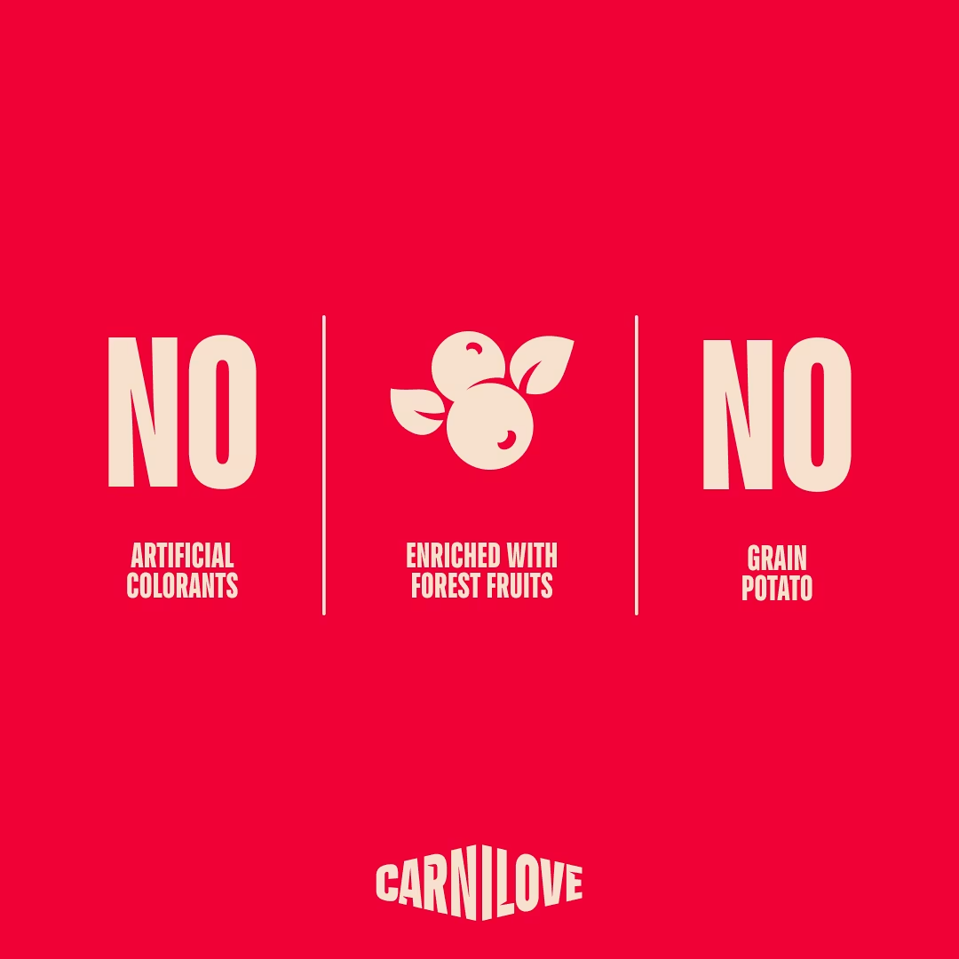 CARNILOVE DOG 200G CRUNCHY SALMON WITH BLUEBERRIES DOG SNACK image 8