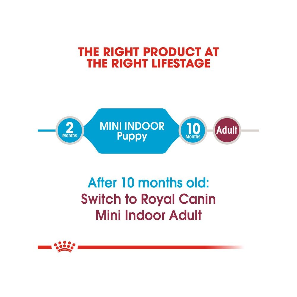 ROYAL CANIN MINI INDOOR PUPPY 1.5KG DRY DOG FOOD image 4