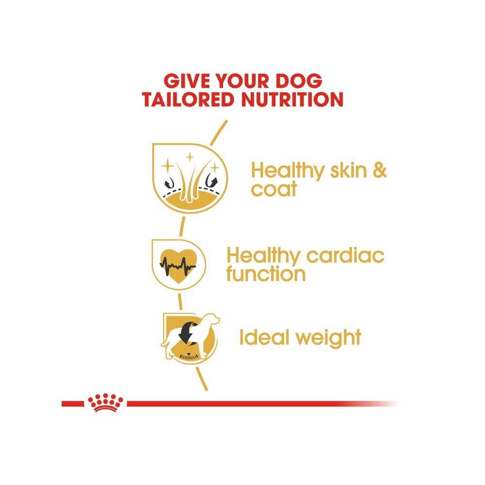 ROYAL CANIN GOLDEN RETRIEVER ADULT 12KG DRY DOG FOOD image 3