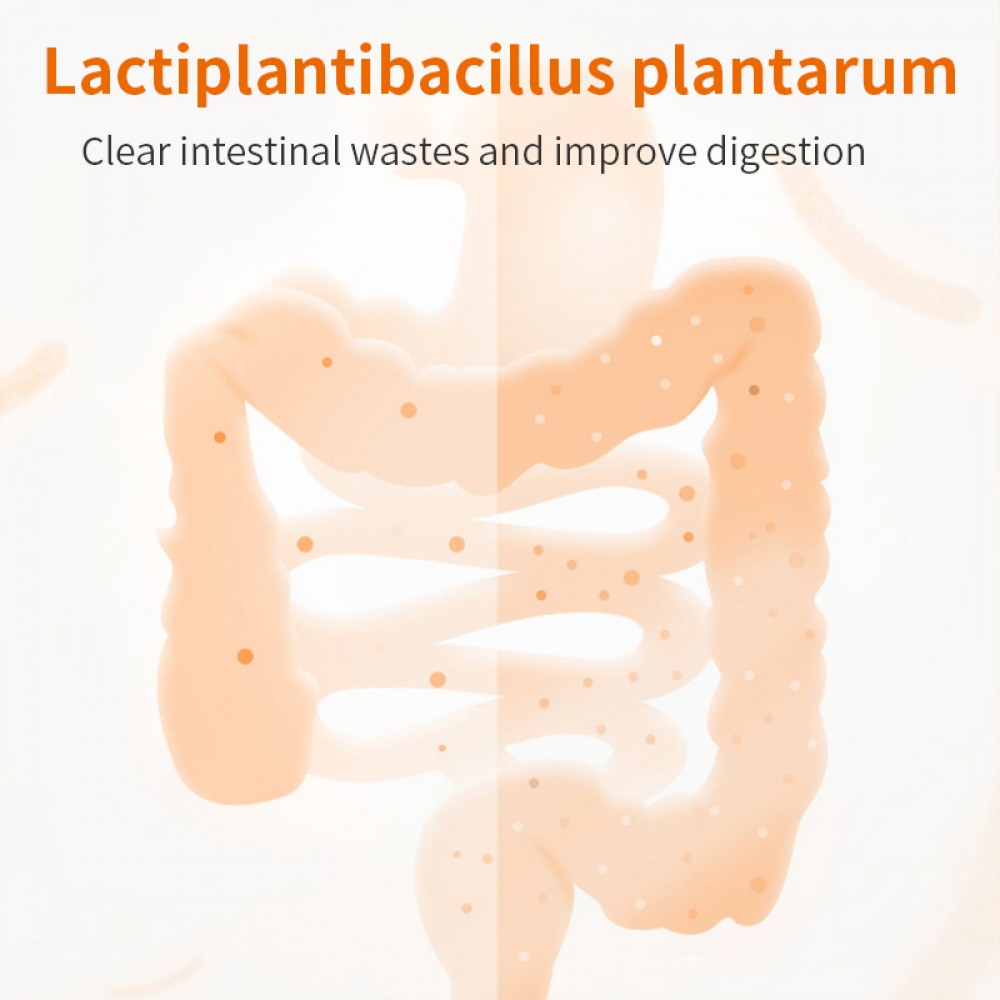 PUAINTA ACTIVE PROBIOTIC 5GX10 BAGS image 6
