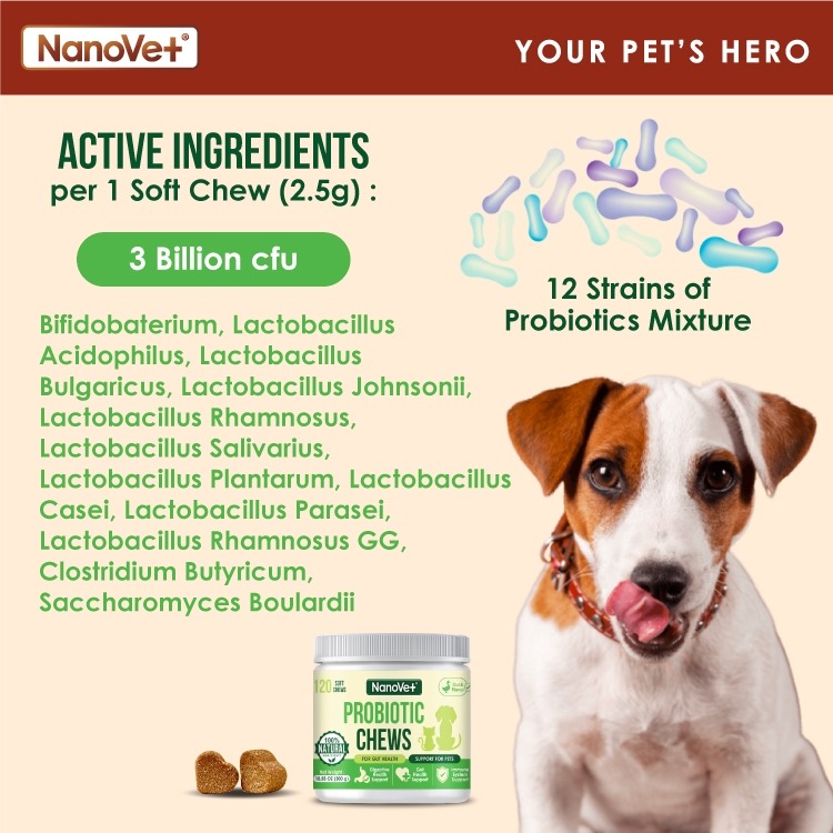NANOVET PROBIOTIC CHEWS 120PCS image 8