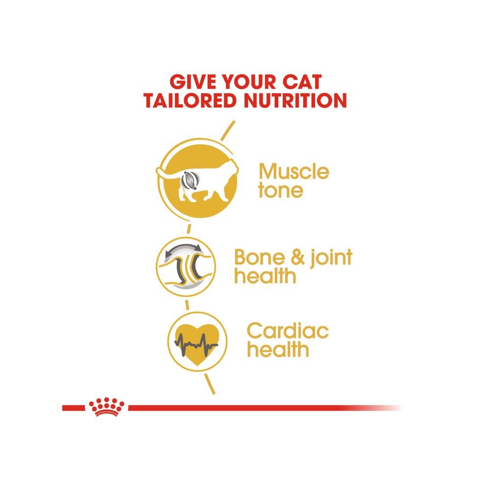 ROYAL CANIN BRITISH SHORTHAIR ADULT 10KG DRY CAT FOOD image 3