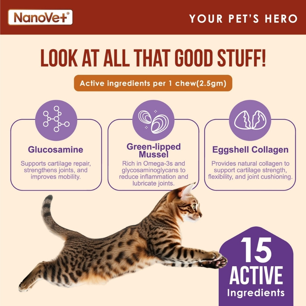 NANOVET HIP + JOINT CHEWS 120PCS image 4