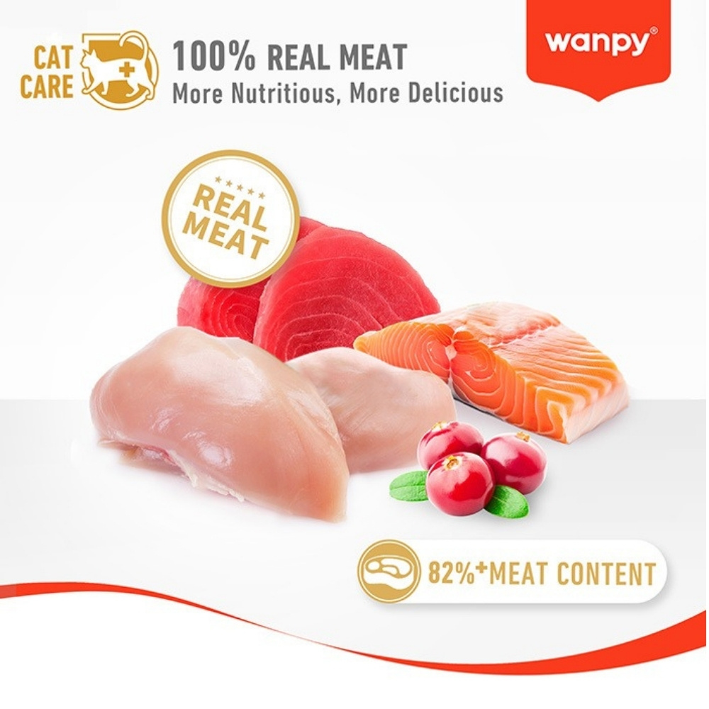 WANPY CAT 70G STEW SALMON & TUNA FOR KITTEN POUCH WET CAT FOOD image 5