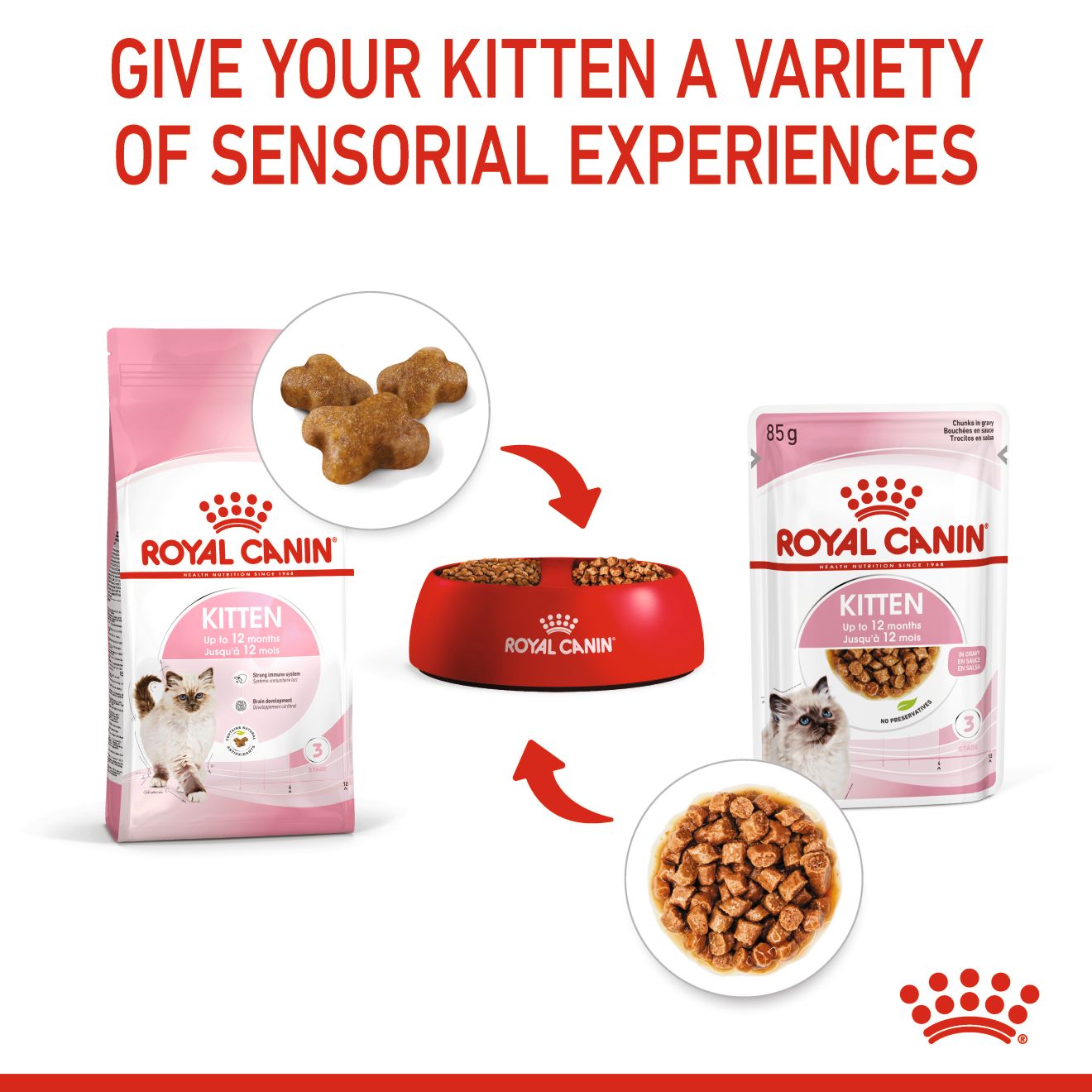 ROYAL CANIN WET KITTEN POUCH 85G WET CAT FOOD image 5