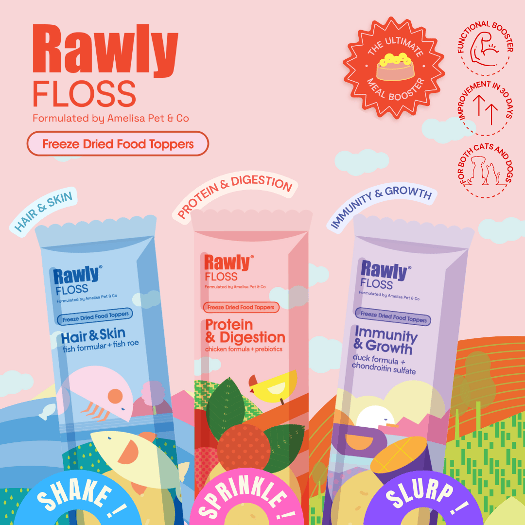 AMELISA RAWLY FLOSS 10GX10 PROTEIN & DIGESTION CHICKEN FREEZE DRIED FOOD TOPPER image 2