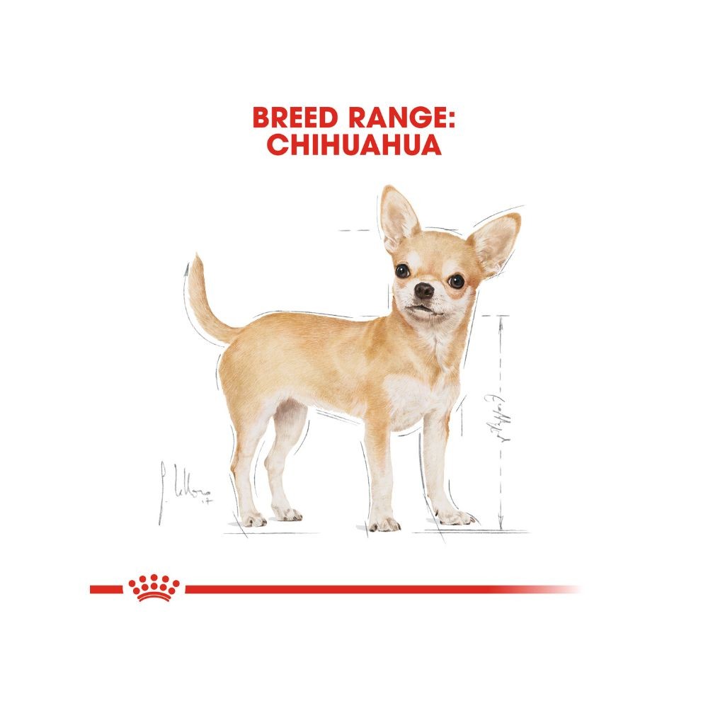 ROYAL CANIN CHIHUAHUA ADULT 1.5KG DRY DOG FOOD image 5