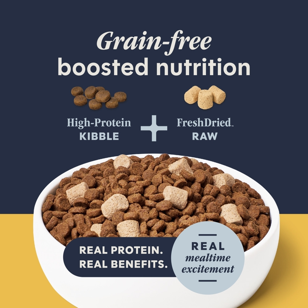 INSTINCT CAT RAW BOOST 4.5KG (10LB) GRAIN FREE RECIPE WITH REAL CHICKEN DRY CAT FOOD image 3