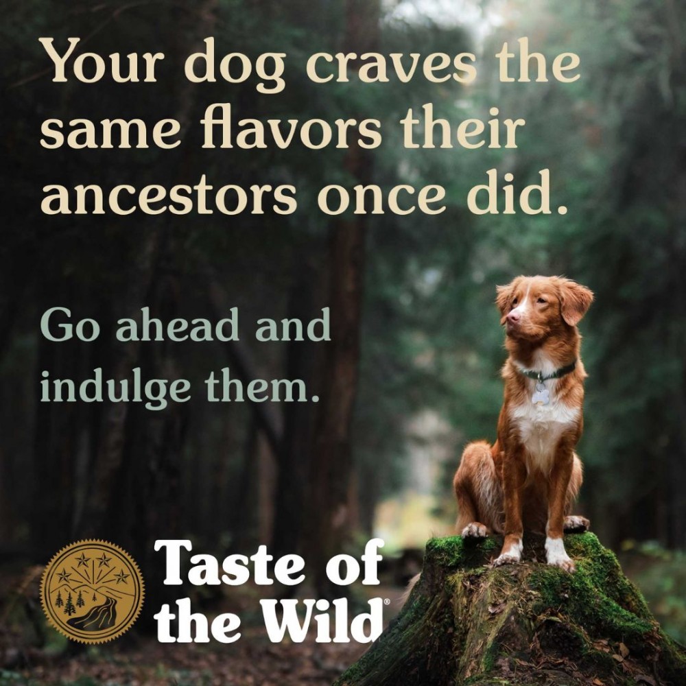 TASTE OF THE WILD DOG 12.2KG SIERRA MOUNTAIN ROASTED LAMB DRY DOG FOOD image 7