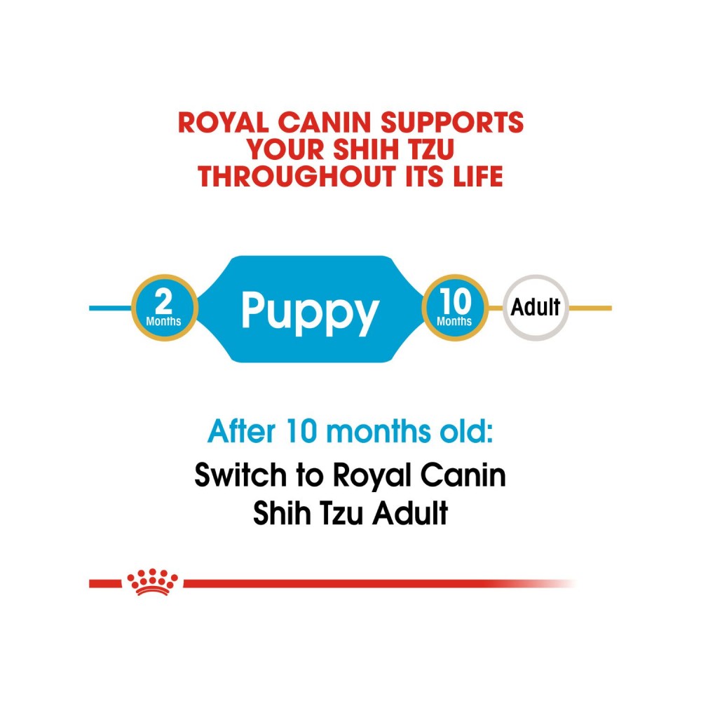 ROYAL CANIN SHIH TZU JUNIOR 1.5KG DRY DOG FOOD image 4