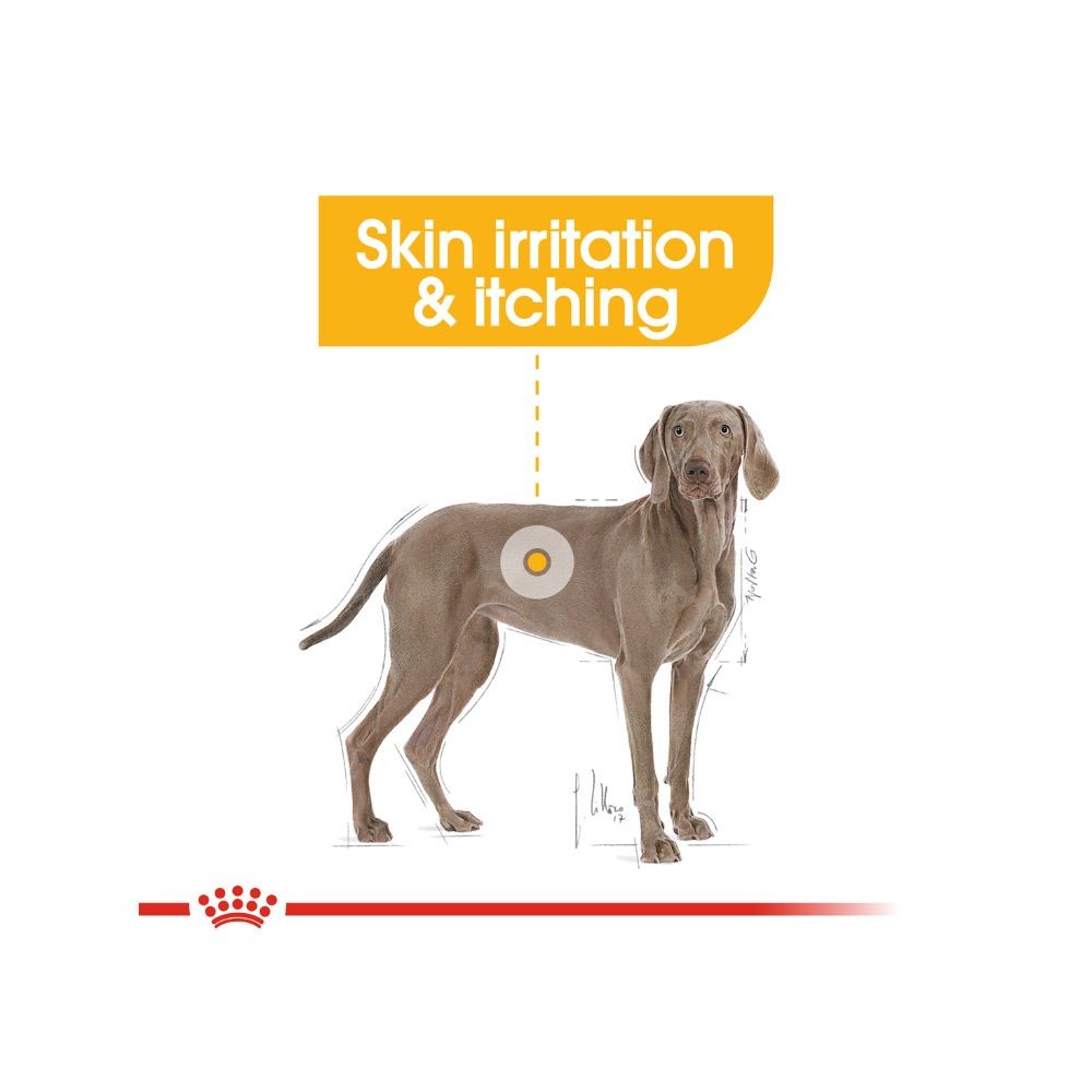ROYAL CANIN MAXI DERMACOMFORT 12KG DRY DOG FOOD image 5